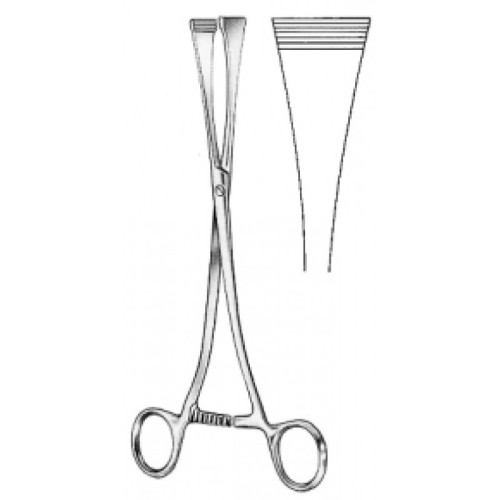 Obstetrics