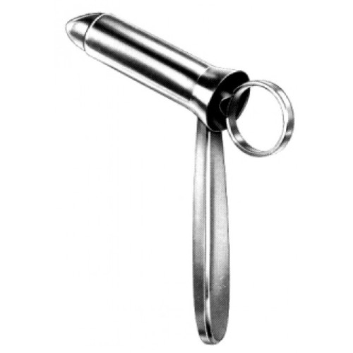 Rectum