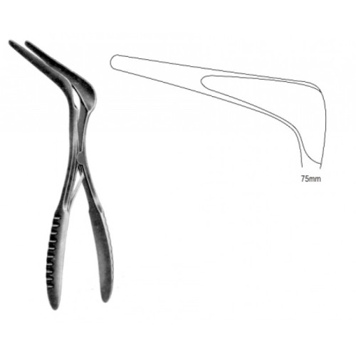 Rhinology