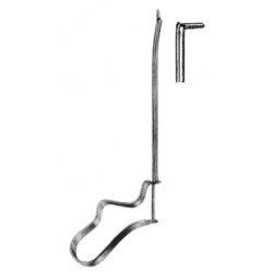 Rhinology