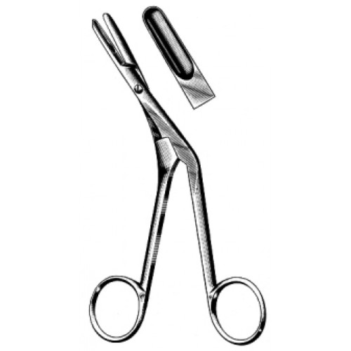 Rhinology
