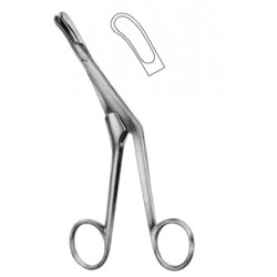 Rhinology