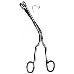 Rhinology