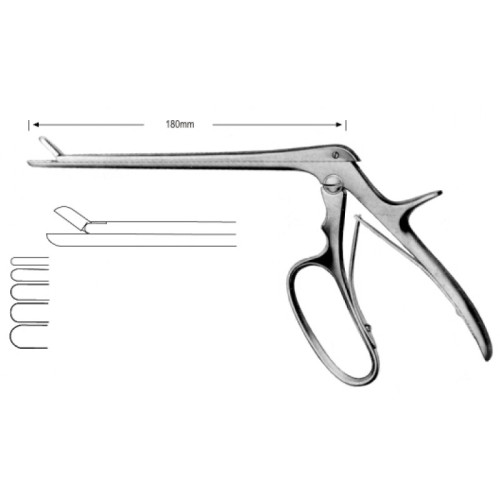 Rhinology