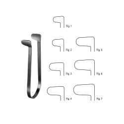 Rhinology