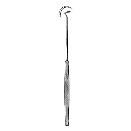 Tonsil