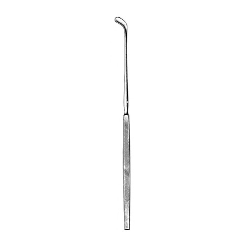 Tonsil