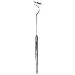 Tonsil