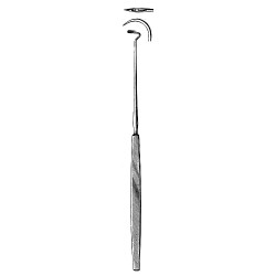 Tonsil