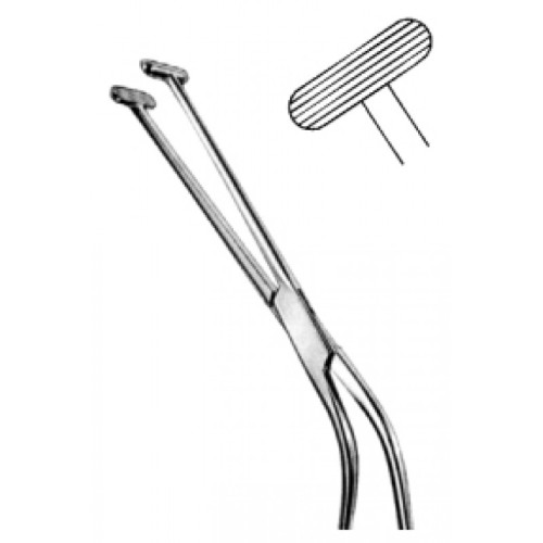 Urology